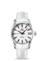 Omega Aqua Terra 150 M Co-Axial 231.13.39.21.54.001