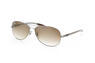 Ray-Ban Carbon Fibre Kollektion RB 8301 004/51