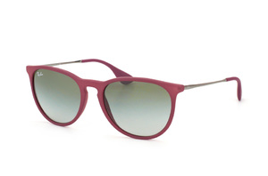 Ray-Ban Erika RB 4171 6001/11