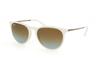 Ray-Ban Erika RB 4171 869/5D