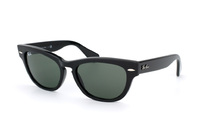 Ray-Ban Laramie RB 4169 601