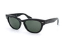 Ray-Ban Laramie RB 4169 601