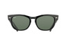 Ray-Ban Laramie RB 4169 601