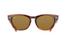 Ray-Ban Laramie RB 4169 820