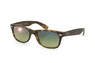 Ray-Ban New Wayfarer RB 2132 894/76