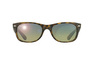 Ray-Ban New Wayfarer RB 2132 894/76