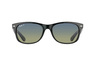 Ray-Ban New Wayfarer RB 2132 901/76