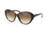 Ray-Ban RB 4163 710/51