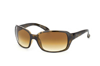 Ray-Ban RB 4068 731/51