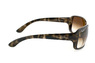 Ray-Ban RB 4068 731/51
