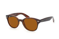 Ray-Ban RB 4141 771