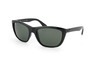 Ray-Ban RB 4154 601