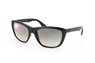 Ray-Ban RB 4154 601/32