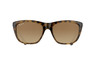 Ray-Ban RB 4154 710/M2