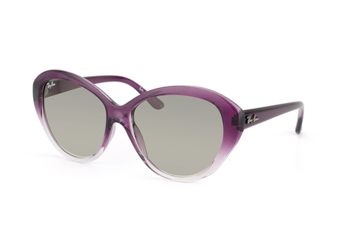 Ray-Ban RB 4163 839/32