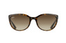 Ray-Ban RB 4167 710/13