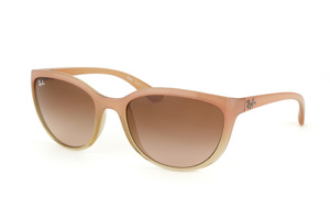 Ray-Ban RB 4167 851/13