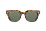 Ray-Ban RB 4168