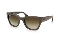 Ray-Ban RB 4178 890/13