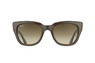 Ray-Ban RB 4178 890/13