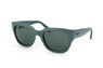 Ray-Ban RB 4178 891/71