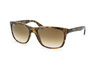 Ray-Ban RB 4181 710/51