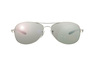 Ray-Ban RB 8301 019/N8
