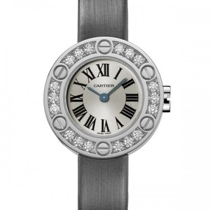 Cartier Cartier Love Small (WG- Diamonds /Silver / Fabric )