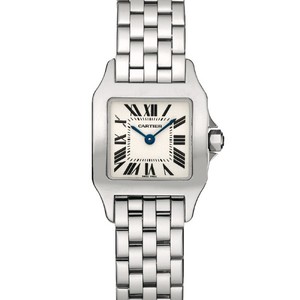 Cartier Santos Demoiselle Large (WG-Diamonds/ Silver/WG-Diamonds)