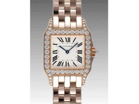 Cartier Santos Demoiselle Medium (RG - Diamonds/ Silver / RG)