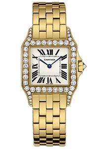 Cartier Santos Demoiselle Medium (YG - Diamonds/ Silver / YG)