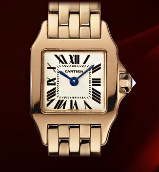 Cartier Santos Demoiselle Mini (RG / Silver/ RG Bracelet)
