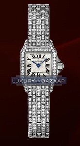 Cartier Santos Demoiselle Mini (WG-Diamonds/ Silver/WG-Diamonds)