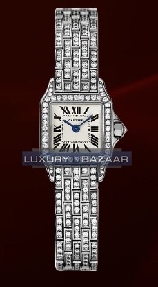 Cartier Santos Demoiselle Mini (WG-Diamonds/ Silver/WG-Diamonds)