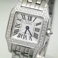 Cartier Santos Demoiselle Mini (WG-Diamonds/ Silver/WG)