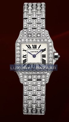 Cartier Santos Demoiselle Small (WG-Diamonds/ Silver/WG-Diamonds)