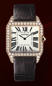 Cartier Santos Dumont Large (RG- Diamonds / Silver / Leather)