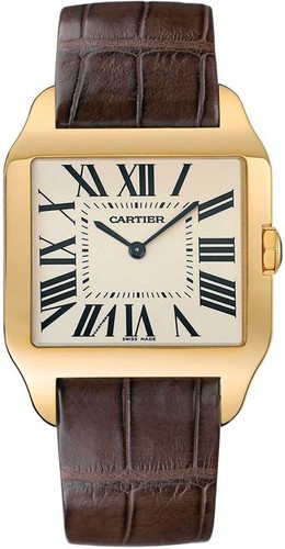 Cartier Santos Dumont Large (YG / Silver / Leather)
