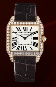 Cartier Santos Dumont Small (RG- Diamonds / Silver / Leather)