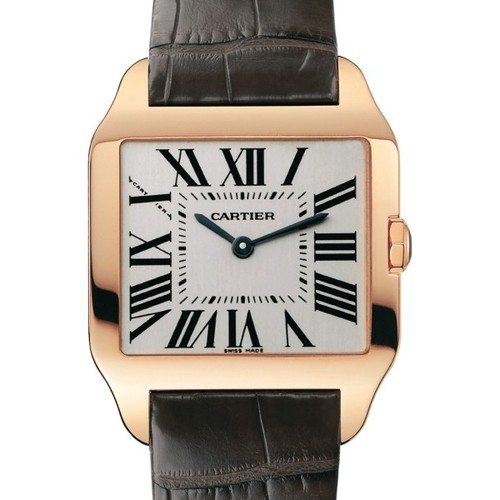 Cartier Santos Dumont Small (RG / Silver / Leather)