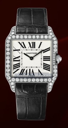 Cartier Santos Dumont Small (WG- Diamonds / Silver / Leather)