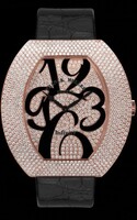 Franck Muller Curvex 3550 QZ A D6 CD