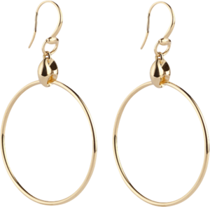 Серьги Gucci Marina Chain Yellow Gold Earrings YBD223535002