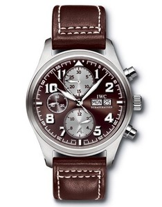 IWC Pilot's Watch Classic Chronograph Antoine de Saint Exupery IW371709