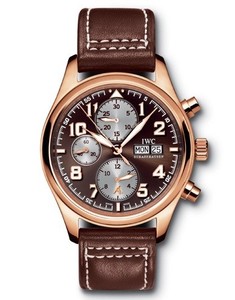 IWC Pilot's Watch Classic Chronograph Antoine de Saint Exupery (RG) IW371711