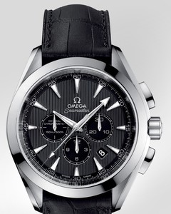 Omega Seamaster Aqua Terra Chronograph (SS / Grey / Croc leather) 231.13.44.50.06.001