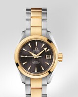 Omega Seamaster Aqua Terra Ladies Automatic (SS-YG / Grey / SS-YG) 231.20.30.20.06.002