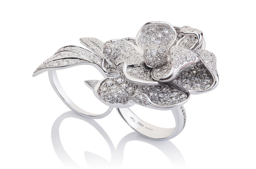 Cantamessa Rosa Inglese white Ring R20092