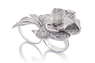 Cantamessa Rosa Inglese white Ring R20092