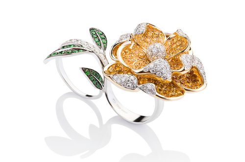 Cantamessa Rosa Inglese yellow Ring RRI1589